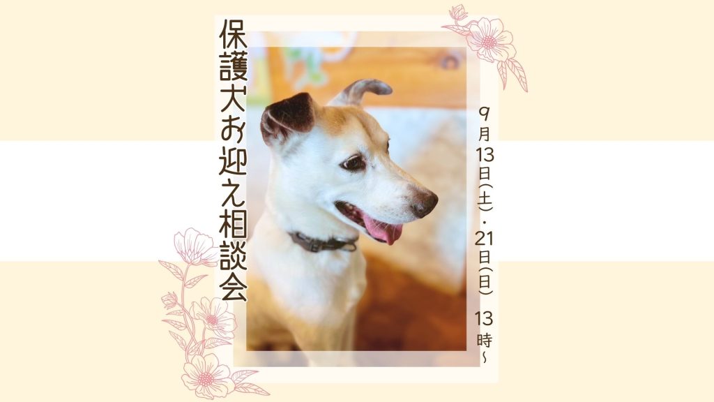 【ピースワンコのイベント】9/21(日)「保護犬お迎え相談会」を開催(東京都あきる野市) 1 ea2c8b1c110574807fab943ffd1efe93