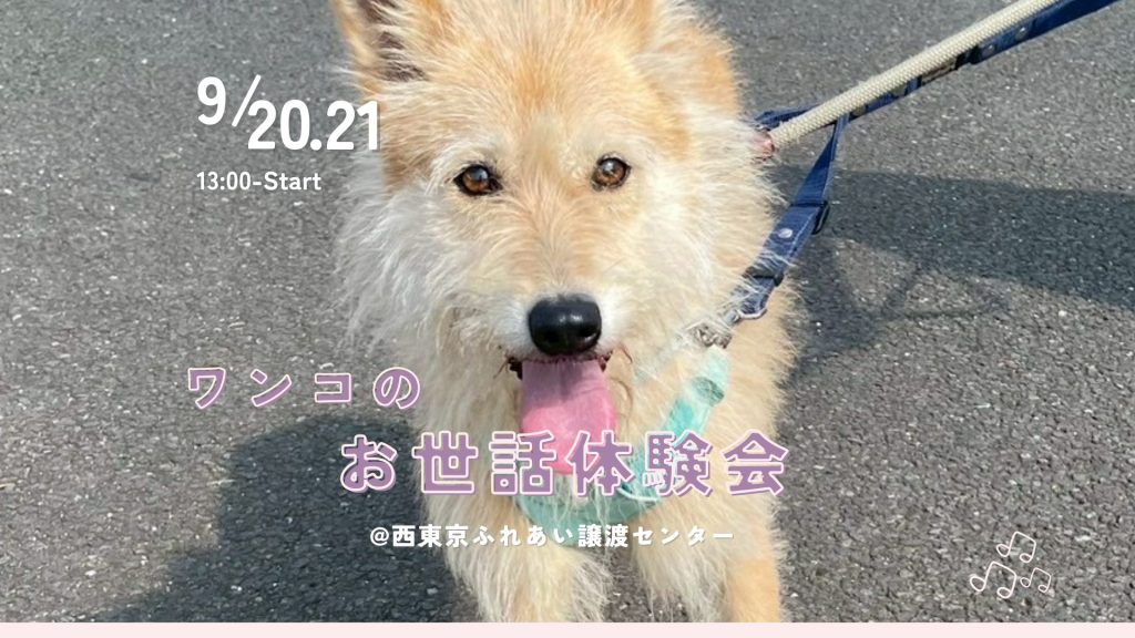 5eb2e7521dcb77cc9455d3df83d64d09