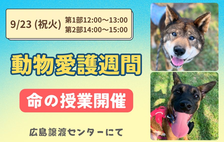 【ピースワンコの譲渡会】9/23(祝火)「動物愛護週間〜人間と動物が共に生きていける社会を目指して〜」開催(広島譲渡センター) 9 eyecatch 14