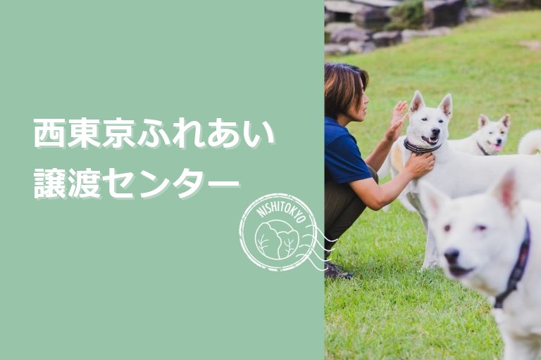 0909876ae2064c6417f1198fdcd25d59