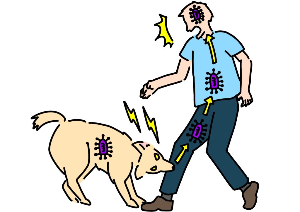 1c5513199353fe39bfafef8749b65d71