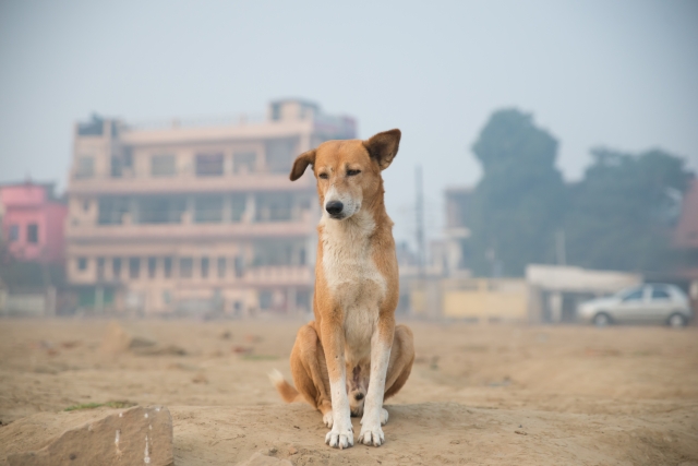 78ec3afbb1fef77d09e8e68a6c8f637f