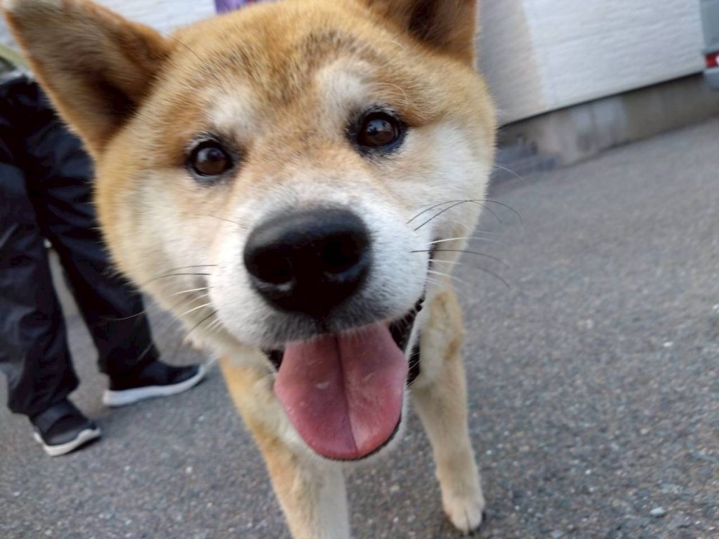 3961a9f5eb02678618fd7745729e0a2f