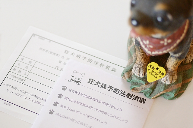 18b93f601f5a2d30fa47f40fb346754a