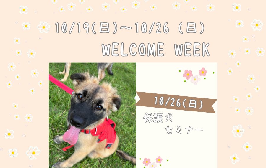 7289f099fc87424acfa312768d0ba307 1