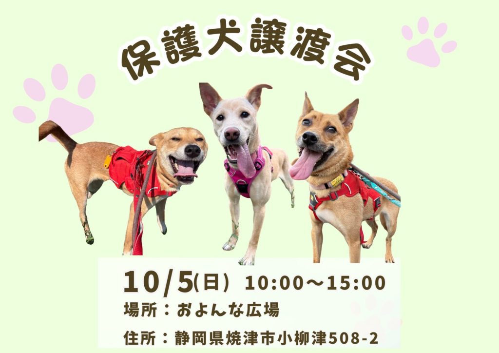 【ピースワンコの譲渡会】10/5(日)「保護犬譲渡会」を開催(静岡/焼津市) 1 aba4c9977d86a733ebd127c69e613f07