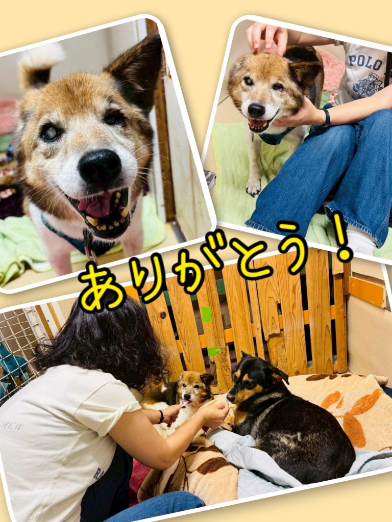 4b7148a700dde219b688ede98e2845e0