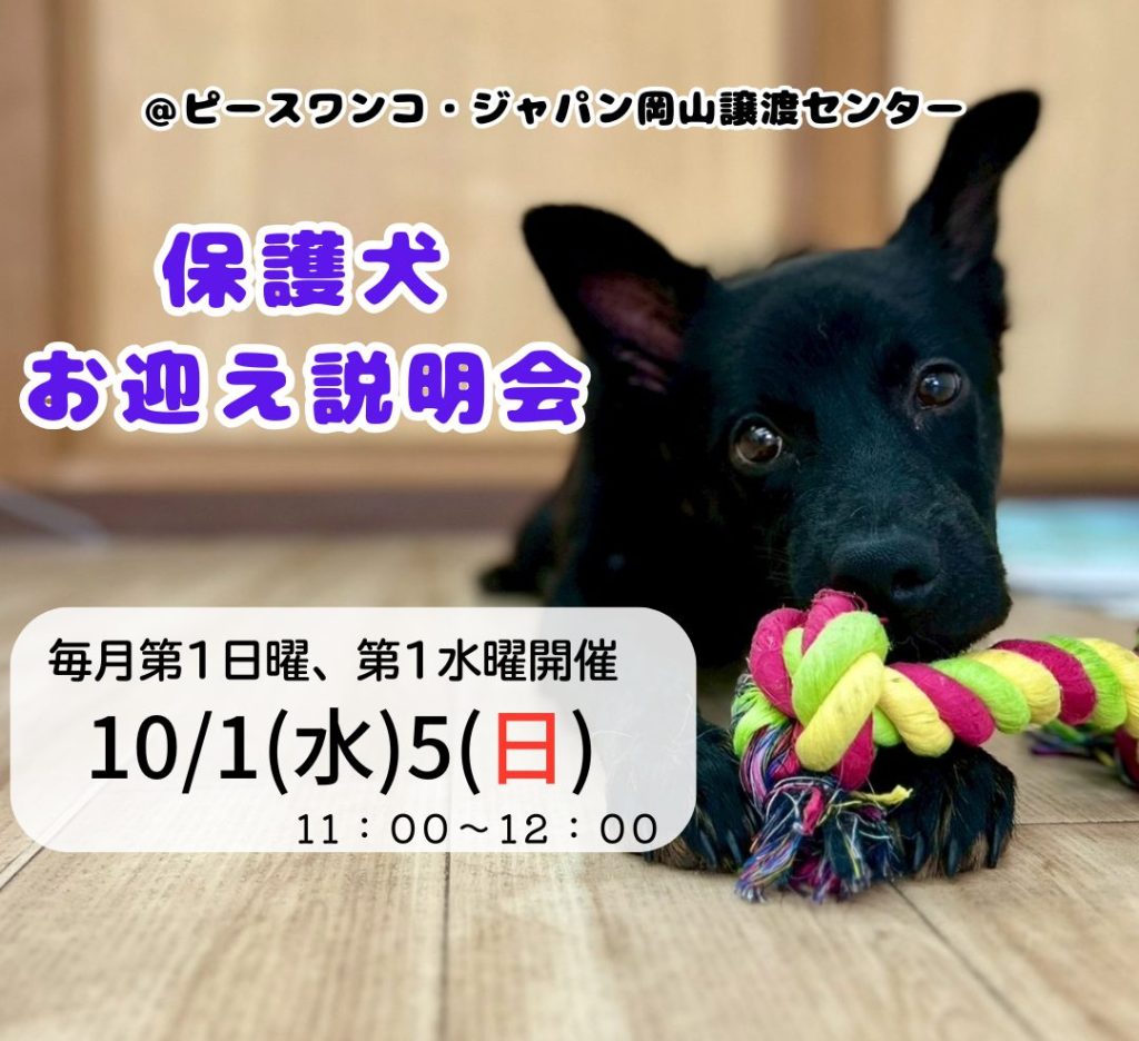 247b909204c7394e0fffcc65d0a2cdcc