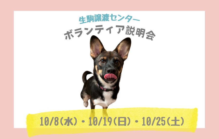 7b453ccdd6ce89d06fa487b5c25c0114