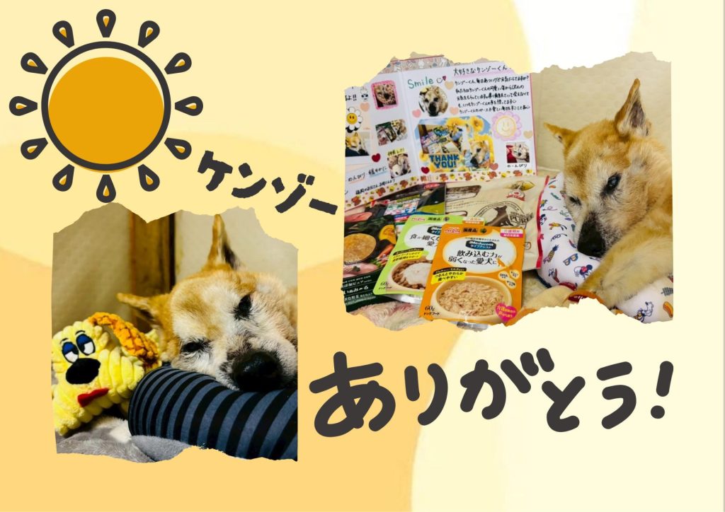 bd0d6694615119c653cf5514405c6f0c