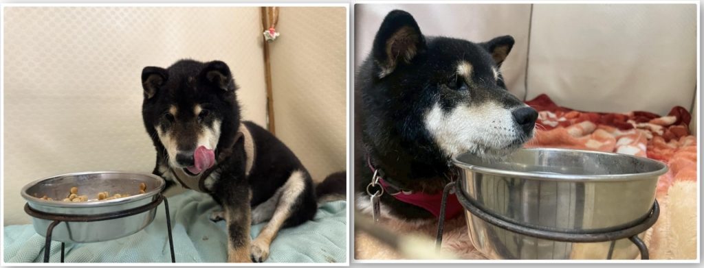 d7232931373fbefe85264959388eb1e7