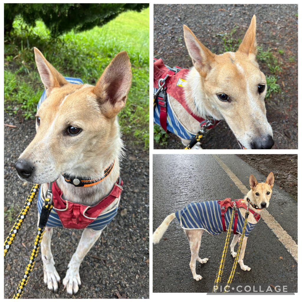 7d1f122b6328854c91baf26e858ba2e5