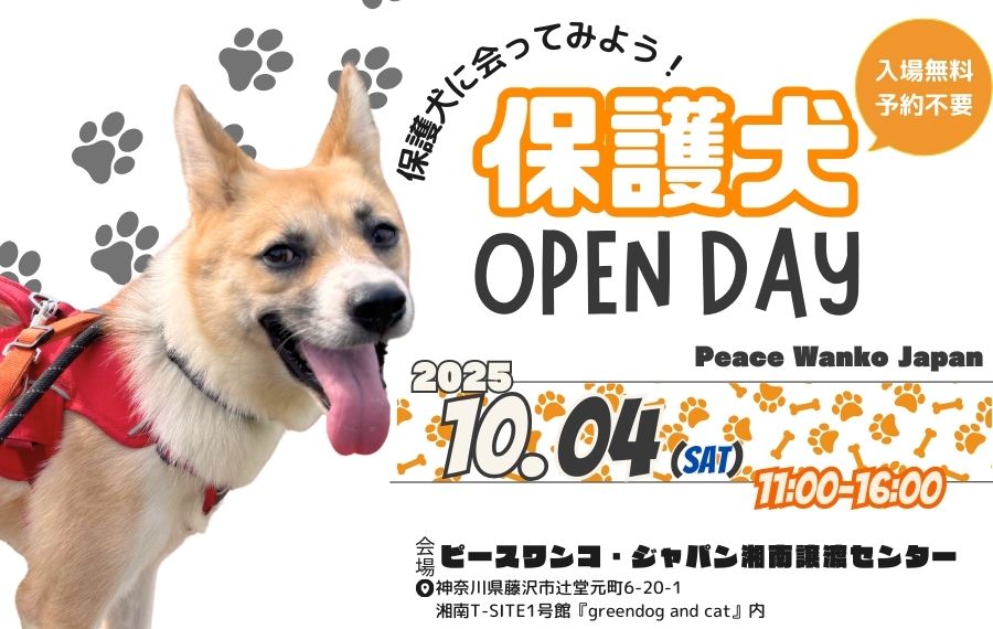 43513791ddc352cfd4051d1423f5cd5f