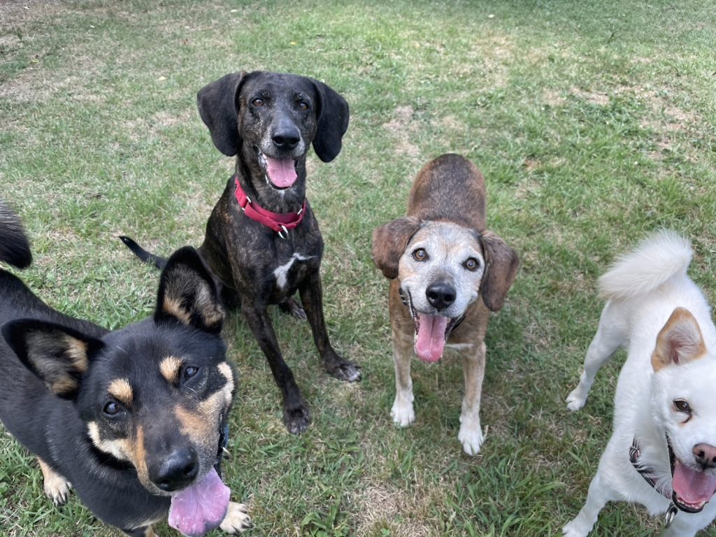 7d9175e6ae5ccf4b1610092911444e47