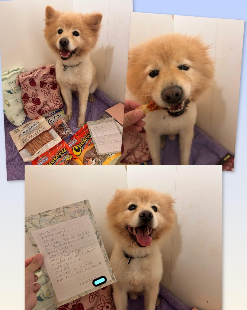 f828ac76cf1fc05c993080059f11d49f