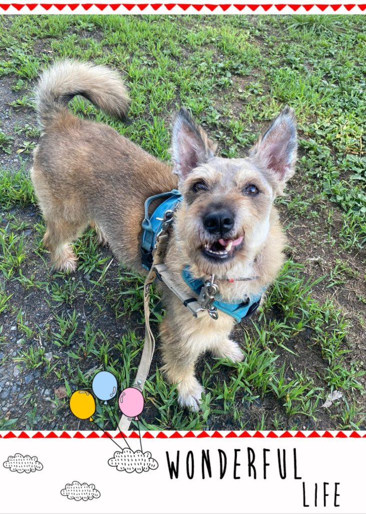 bca420091907964a58a8b516519c6235