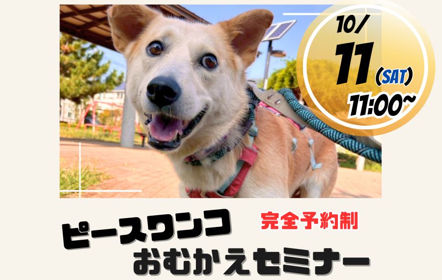 43513791ddc352cfd4051d1423f5cd5f 1