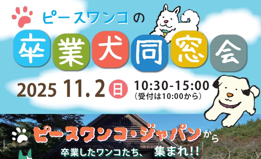 【今年も開催!】11月2日(日)ピースワンコ卒業犬「里帰り同窓会」イベントを開催します! 12 2082da50e23a86ad4c93c7f3a14355db