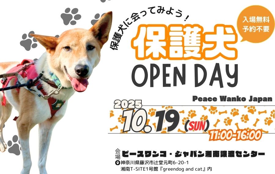 c3af659c3fad2ec890a127a1fcc27a94