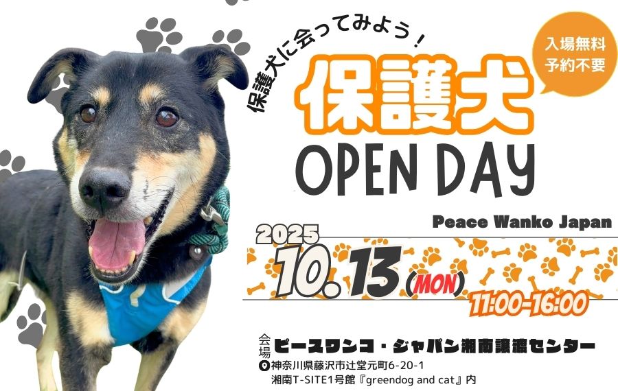 59d1c5b366ead9922032f33d5c6fd514