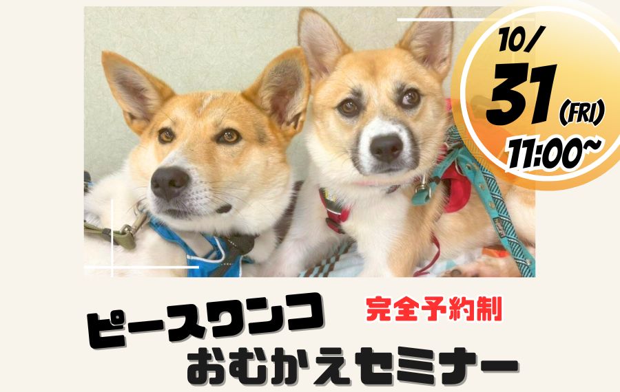 e5949271236b7caffdd79ef38e18035d