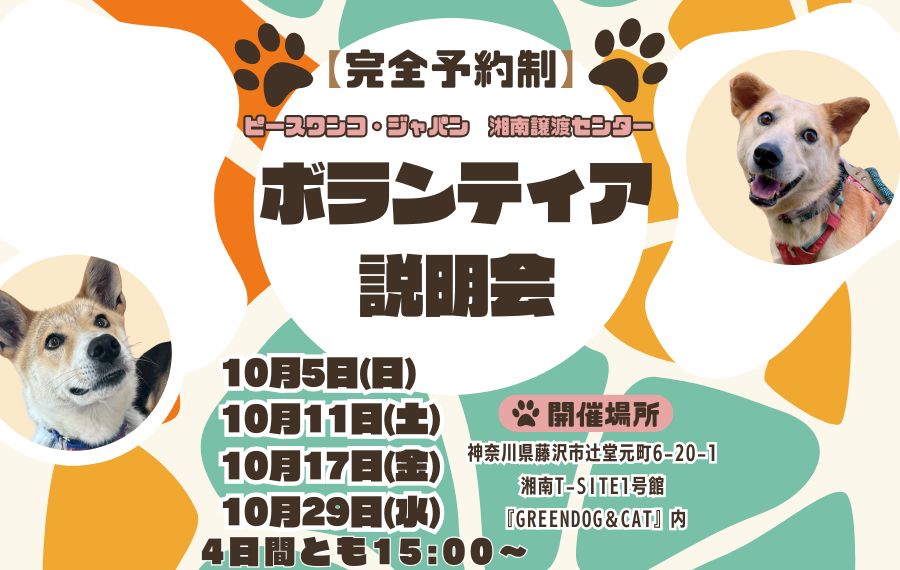 c1b02b58e11a7dd085297485f940dc30