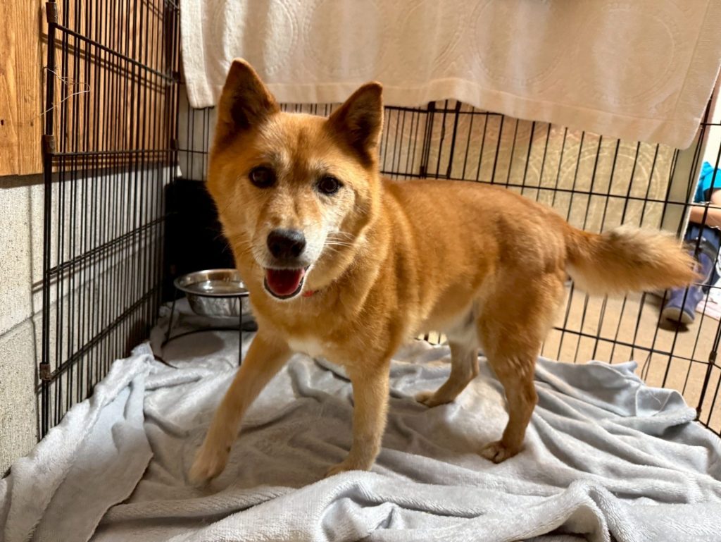 9d66c445b4fa769e751a876a7295fe60