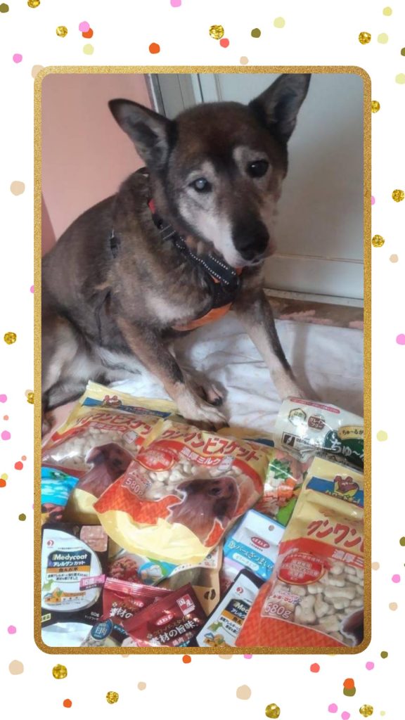 d1100ced174ec7fc02a4066fe4644ef3