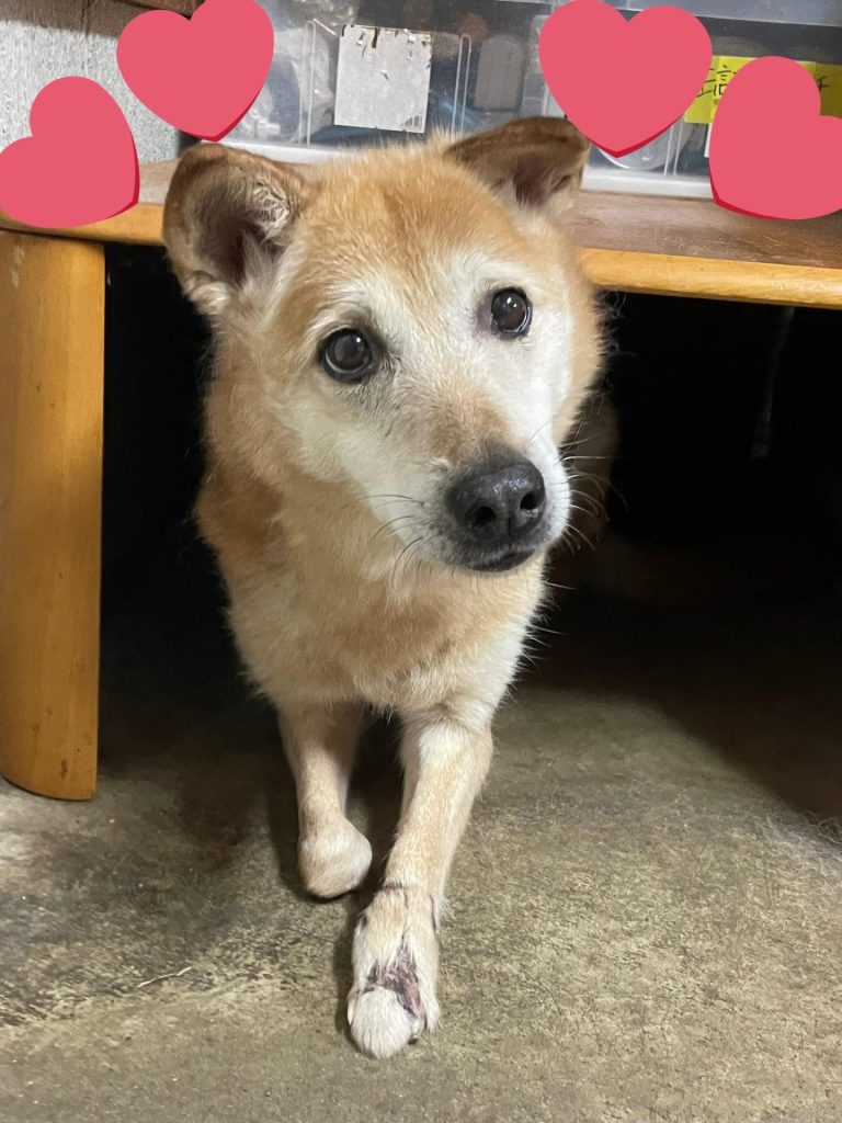 68493c20833e2cf9fee7c648368e51de