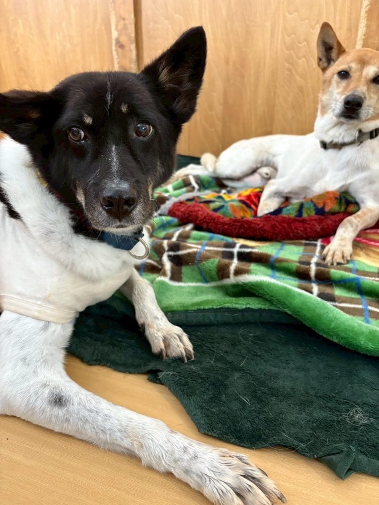 5bed7e27c36fcf6e7b8f9f153663b57d