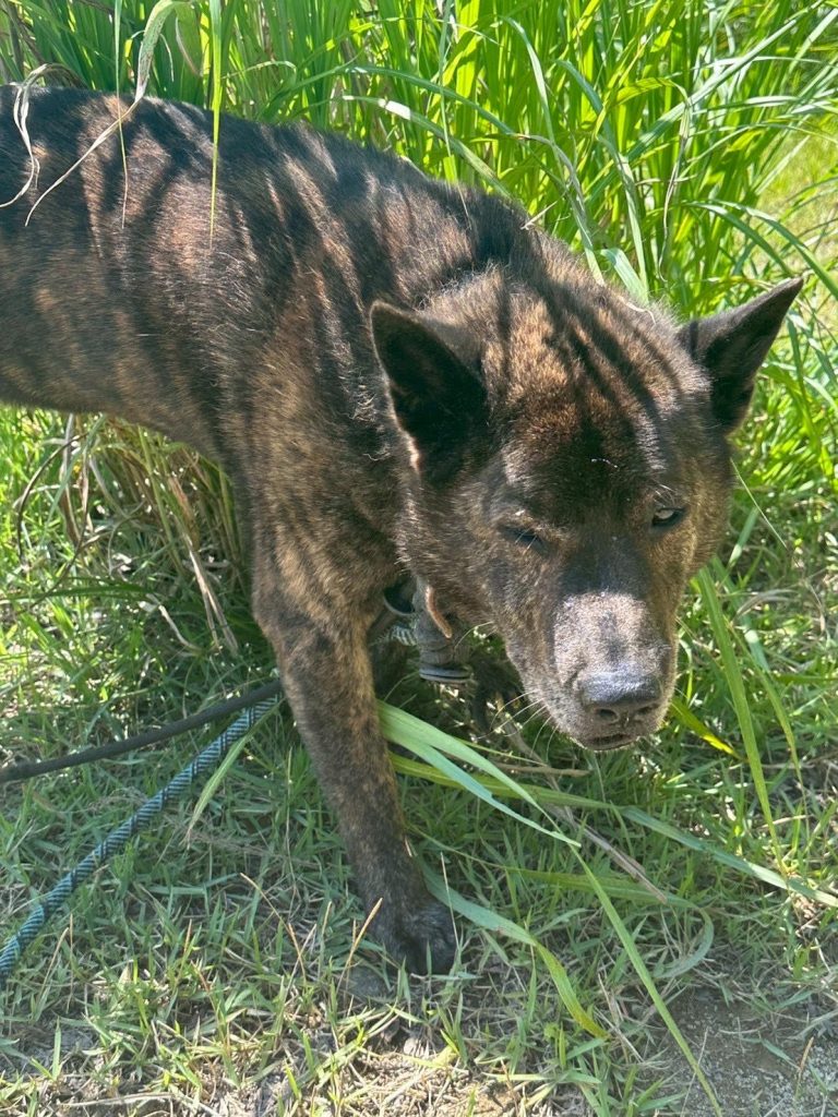 444f6095ccc7cc735b22e8c08fe56232