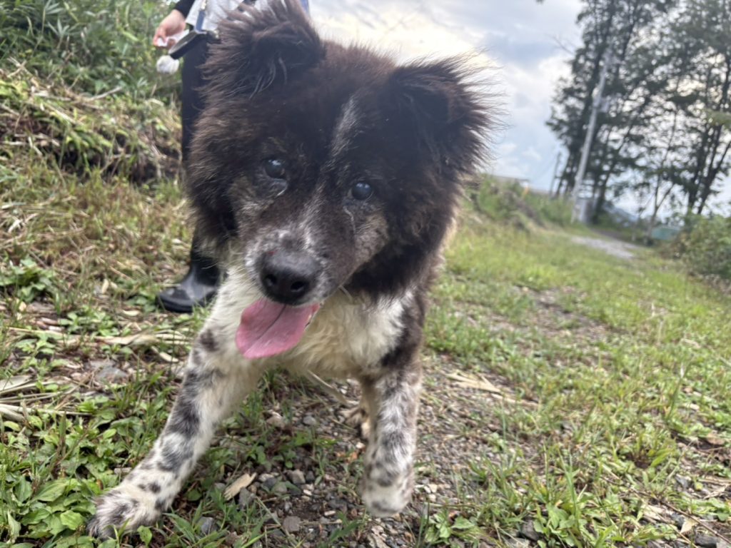 ee12c07e9992fe621891a61ae2a3c0d7