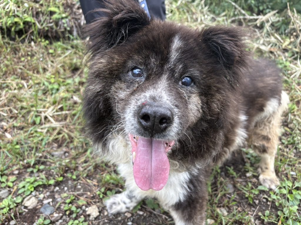 ecd82981e4af7d612f763c0c55d48b64