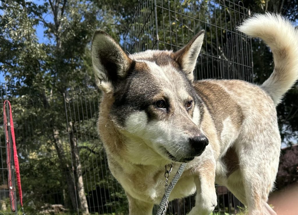 0e24e3e5abd8c12ff208067a109bd138