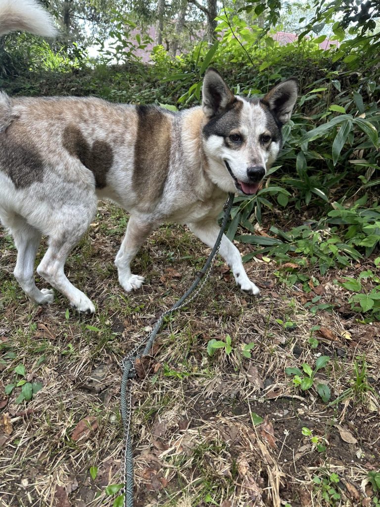 a9eb4681cd05f4f1d7e31efe45e9c47e