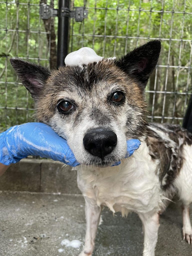 f359235cbb9fe739bbcf8f3b57a5c63b