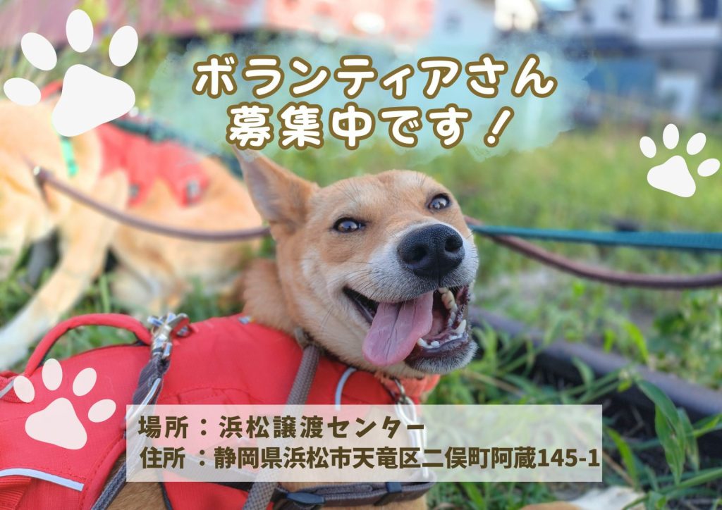 【ピースワンコのイベント】10/26(日)「ボランティア説明会」開催(浜松譲渡センター) 9 a0dcf8829975e4bcc33ea17f666a0ae3