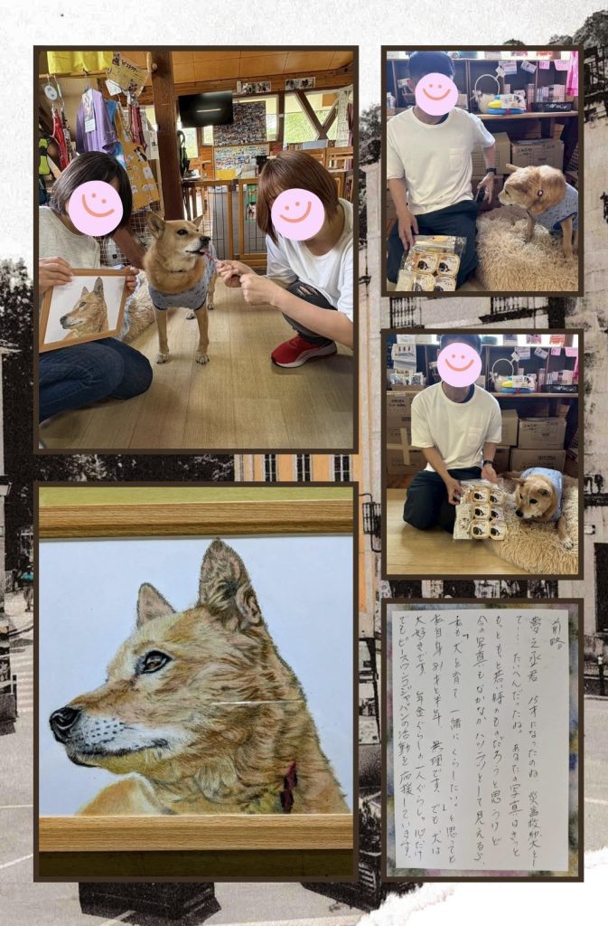 ワンだふるファミリーからの近況報告:2025年9日29日(月曜日) 5 13c74e1d09c4f9dd3d1f63b4a98fd029