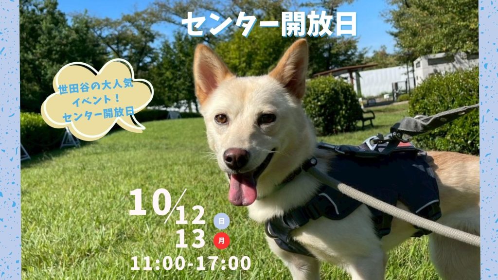 【ピースワンコのイベント】10/12(日)、13(月祝)センター開放日「保護犬に会いに行こう!」(世田谷譲渡センター) 7 aa2f0f2870d9eb46c4b85ea097bc8bf0