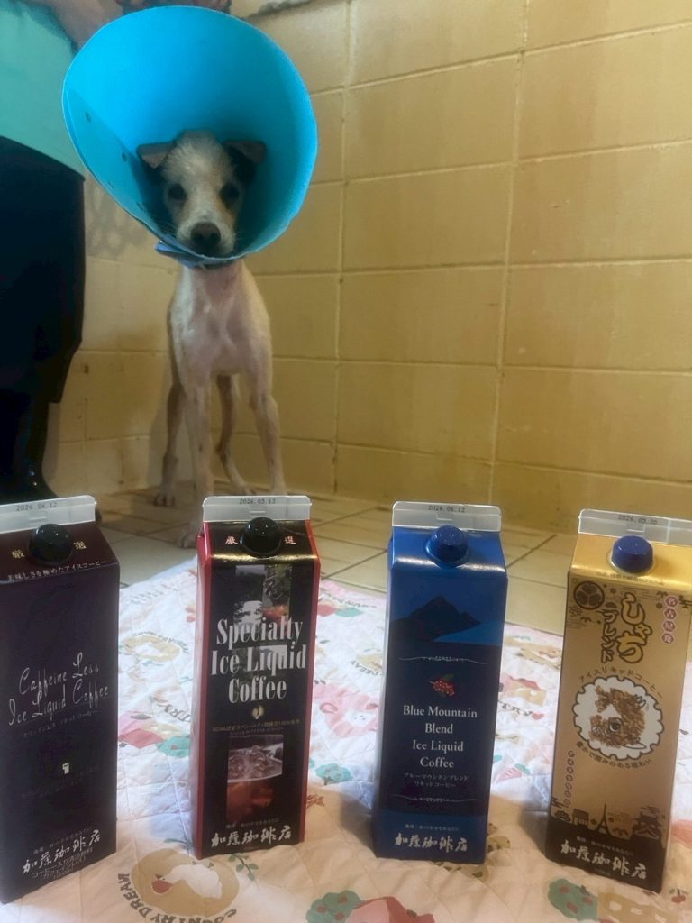 ワンだふるファミリーからの近況報告:2025年9日29日(月曜日) 21 e1dd36fba19a47b56d9fe46b1dc4fb1f