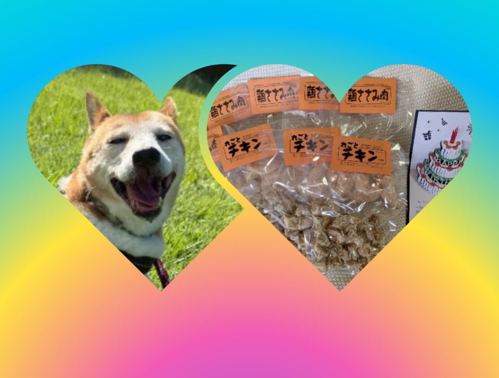 ワンだふるファミリーからの近況報告:2025年9日29日(月曜日) 4 2f36528f22d2f5cb92ad897b24b393c3 1