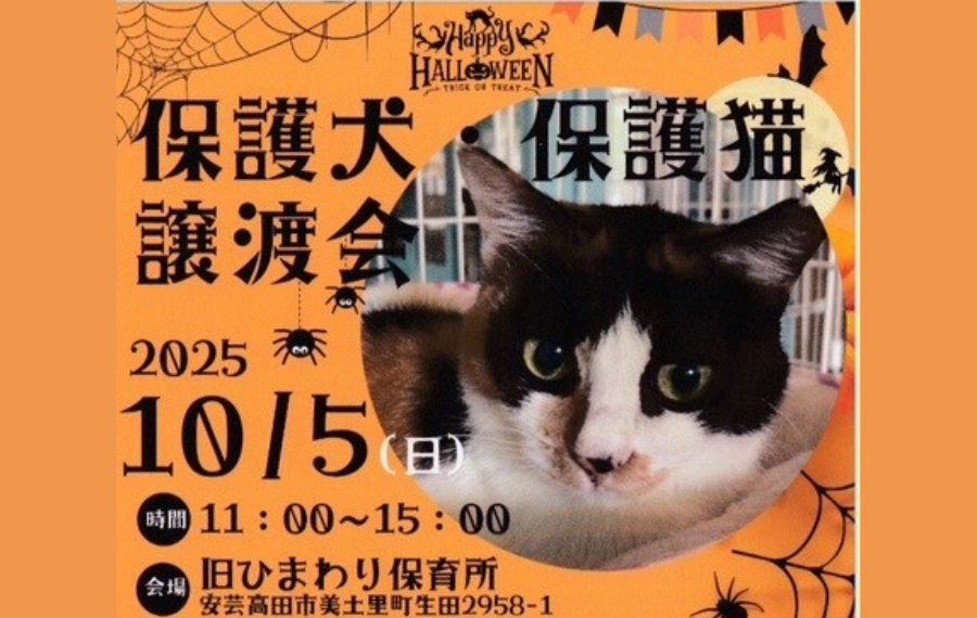 【ピースワンコの譲渡会】10/5(日)「保護猫保護犬譲渡会」に参加(広島/安芸高田) 4 e92512132610dd098d357f2155bf891a