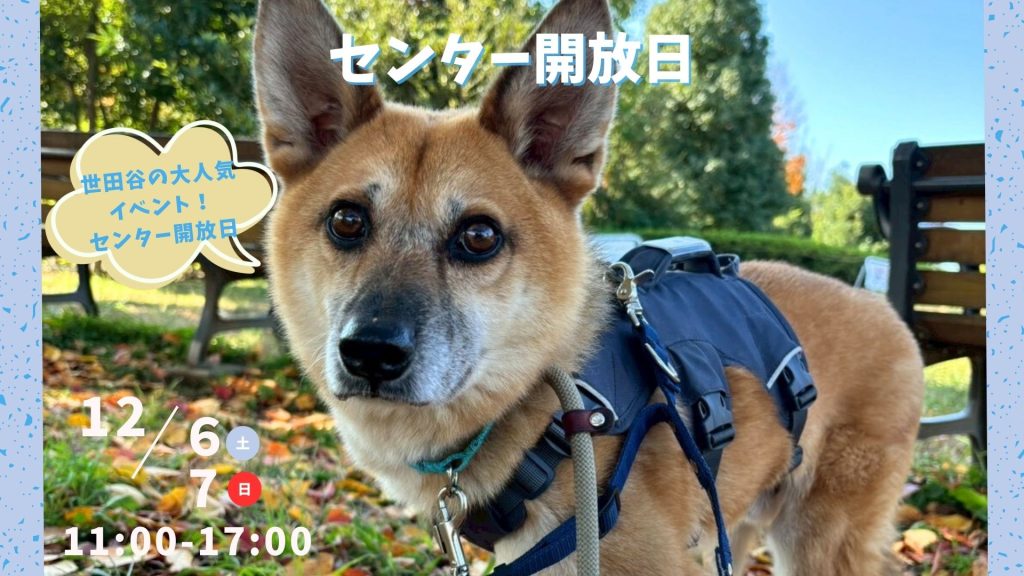 aa2f0f2870d9eb46c4b85ea097bc8bf0 1