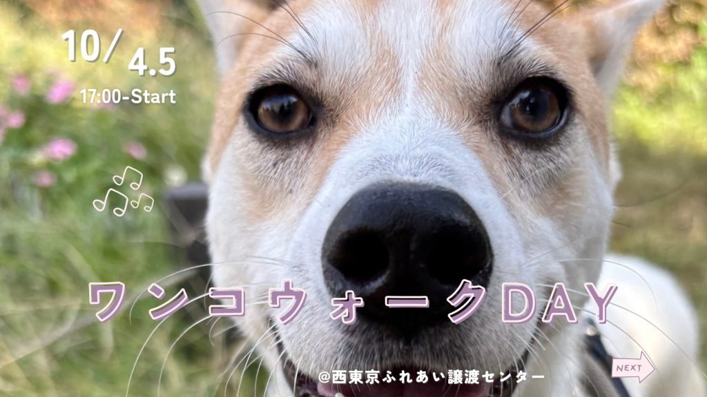 2c58bfda0b5e6c67ae8dae06ebe058ee