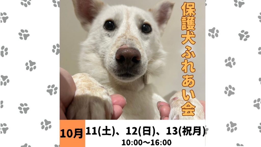 b5a402ac0af97260830a9387b2ea63e4 1