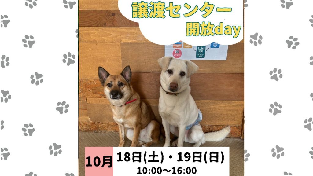 e4b48e56a3ce4a7ef2e39586318363aa 1