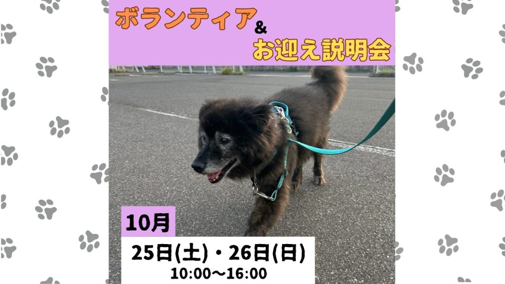 281792ef4c9e84a805f73afe5d205154 1