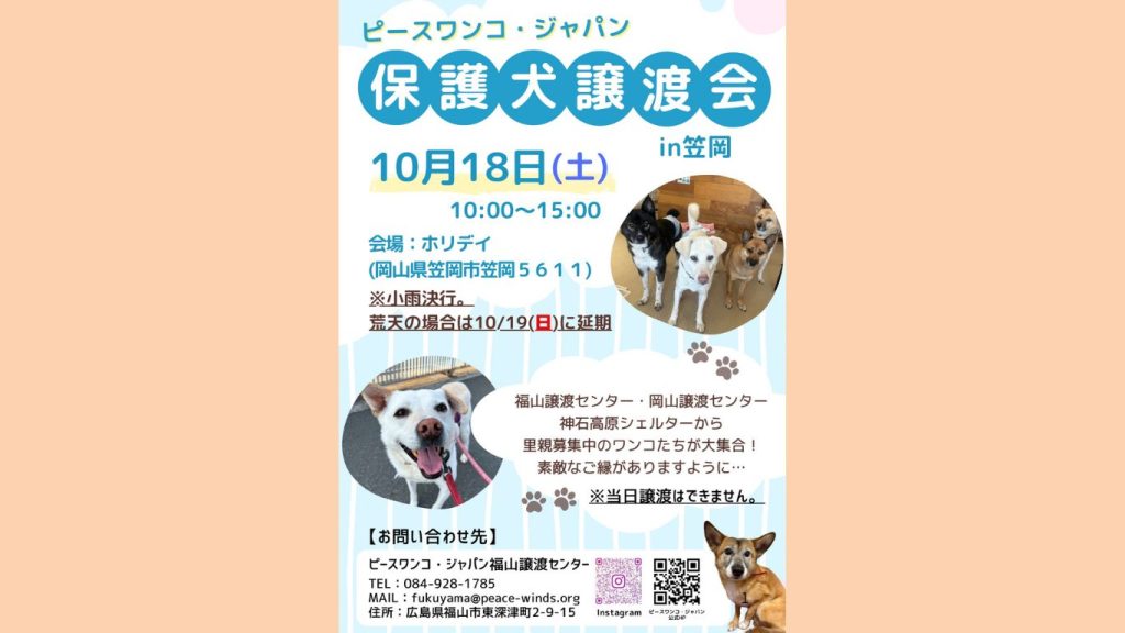 033fb7ac41cdfa70b52d8c6035bb6b39 1