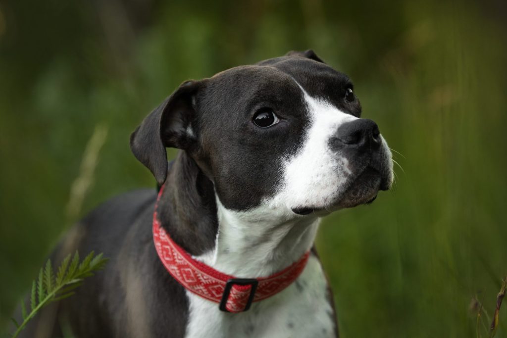 1 AdobeStock 1530761472