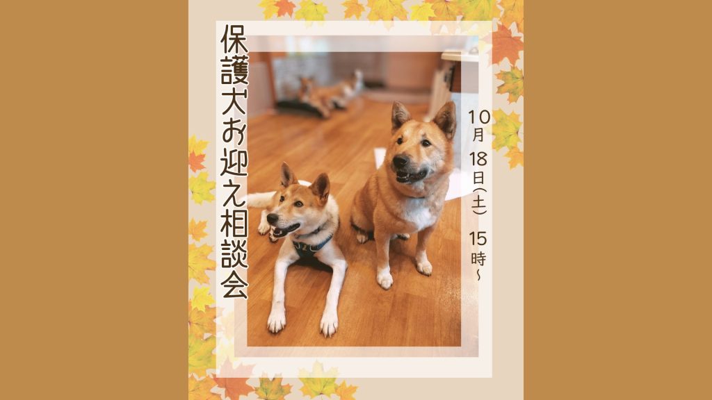 d380f597fb47602addc3dc47f0d53716